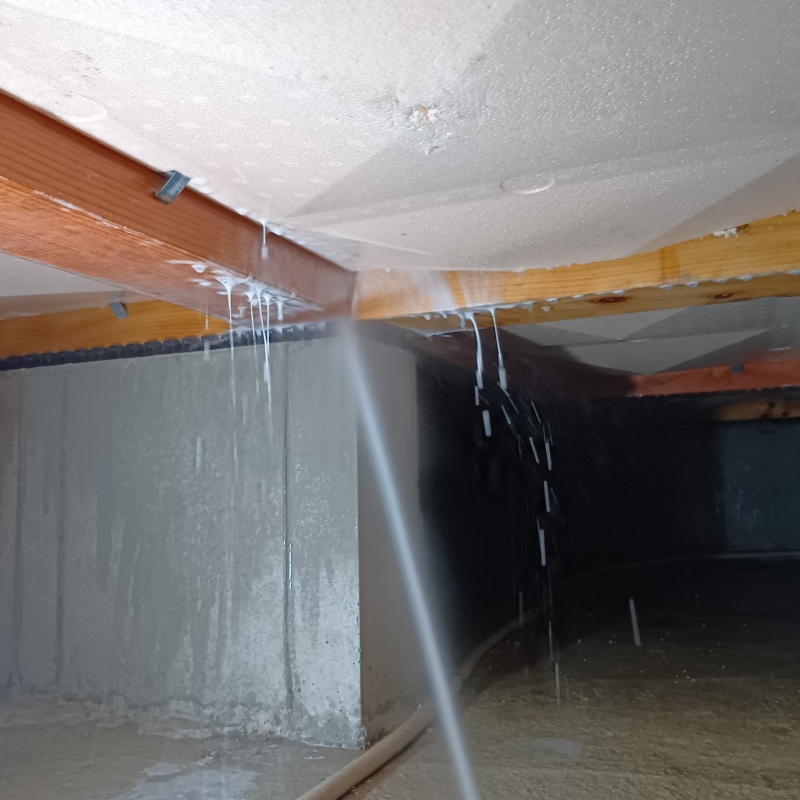 床下の木材に防蟻剤を散布する様子