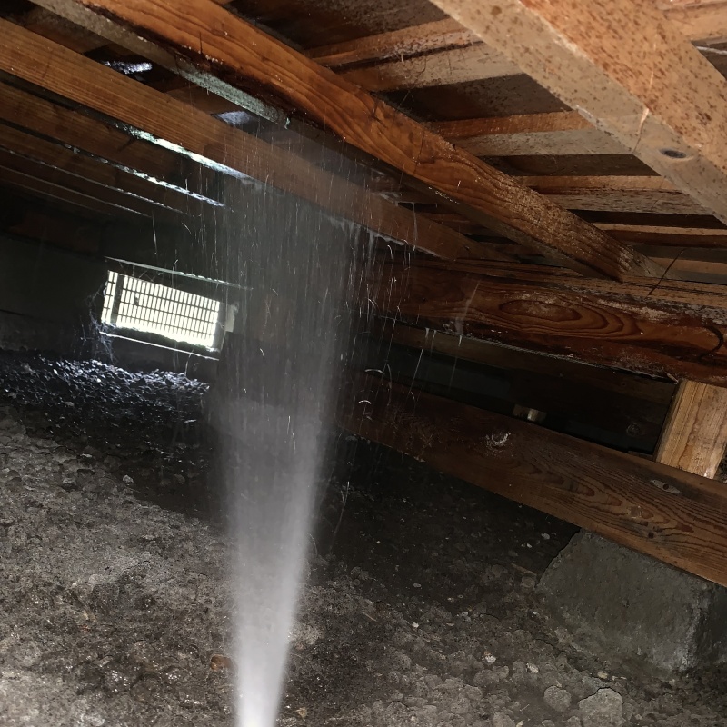 床下の木材にシロアリ駆除剤を散布する様子