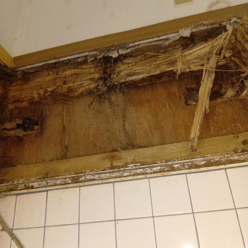 築年数30年のシロアリ駆除の施工事例（宮崎県宮崎市学園木花台北）