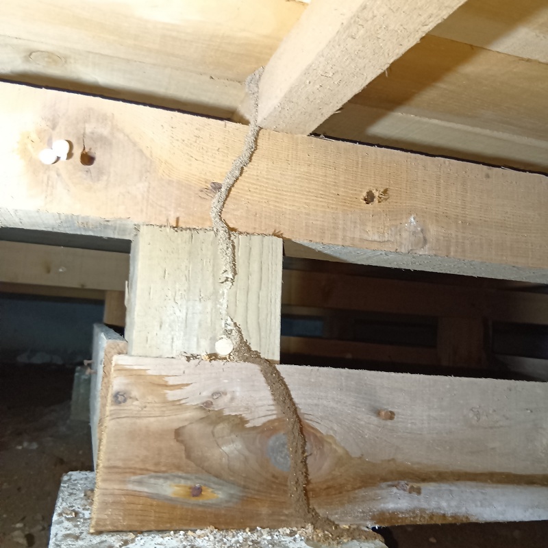 築年数43年のシロアリ駆除の施工事例（熊本県熊本市西区横手）