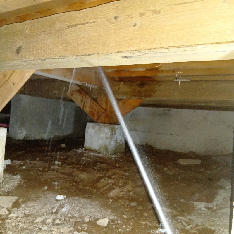 床下の木部にシロアリ駆除剤を散布