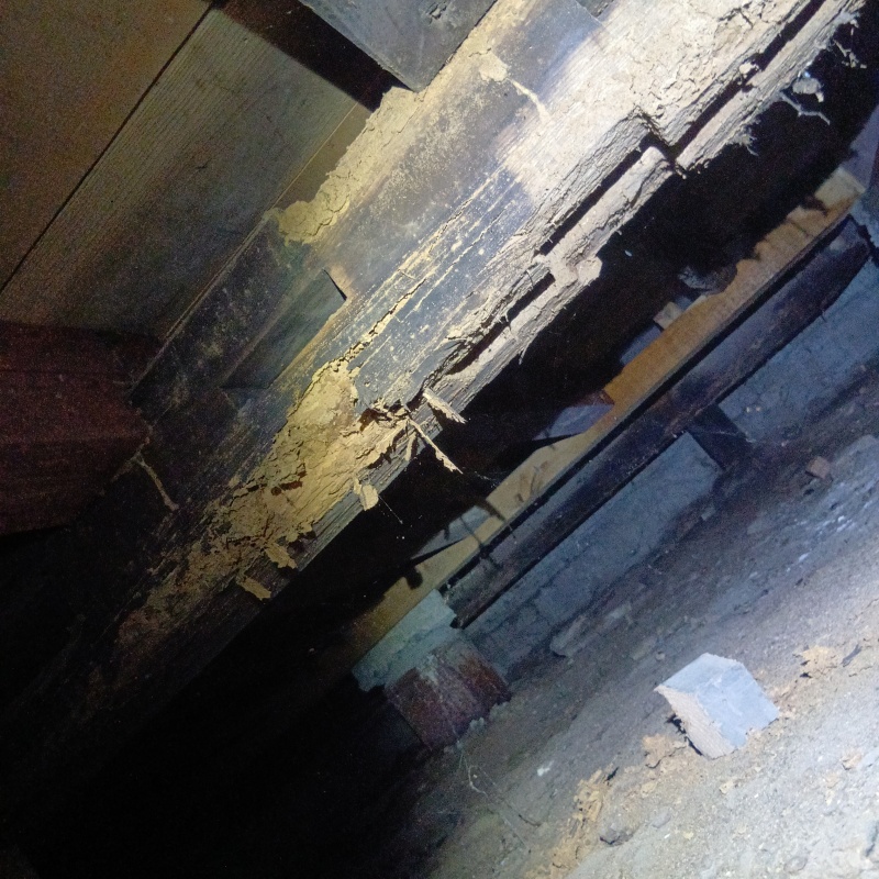 築年数50年のシロアリ駆除の施工事例（富山県南砺市院瀬見）