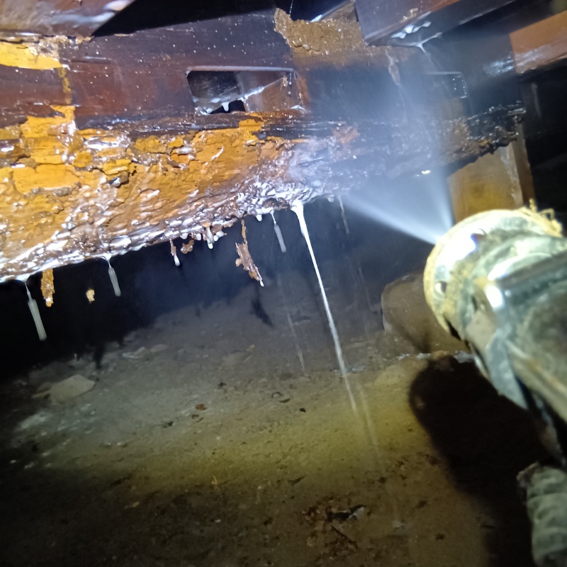 床下の木部にシロアリ駆除剤を散布