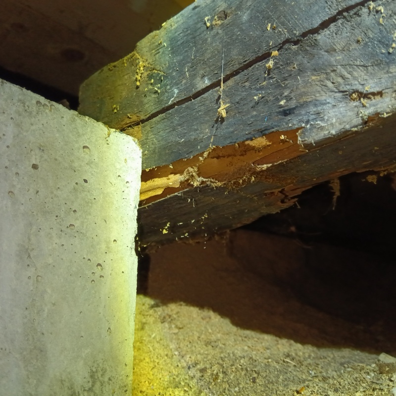 築年数60年のシロアリ駆除の施工事例（大阪府大阪市浪速区日本橋東）