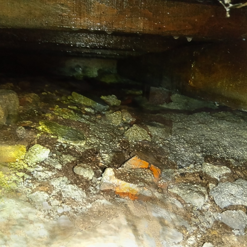 床下の土壌にシロアリ駆除剤を散布