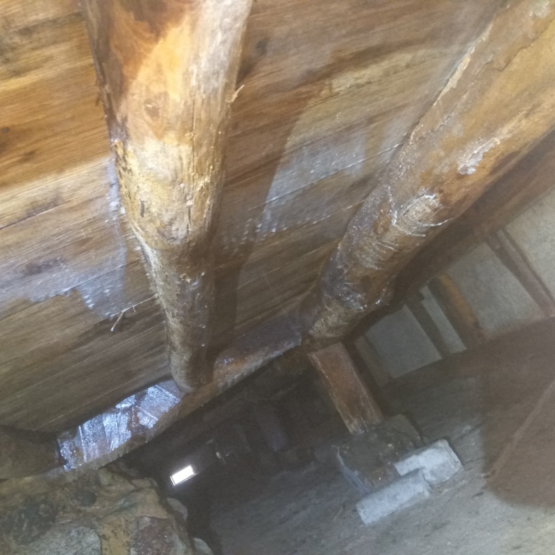 築年数30年のシロアリ駆除の施工事例（広島県山県郡北広島町都志見）