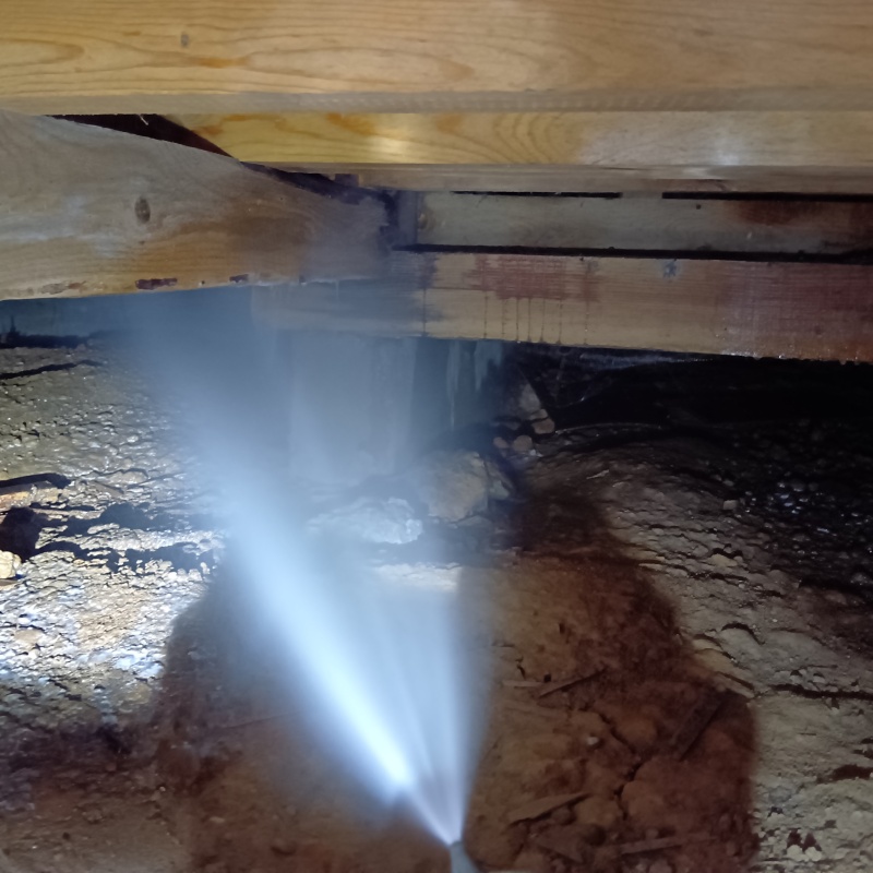 床下の木部にシロアリ駆除剤を散布