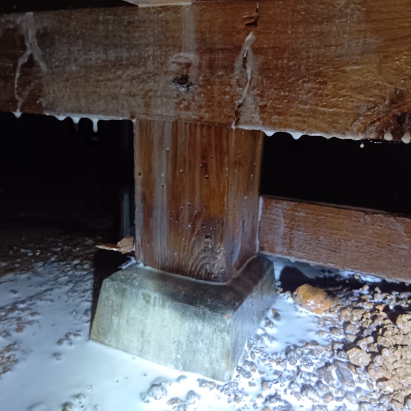 床下の土壌・基礎にシロアリ駆除剤を散布