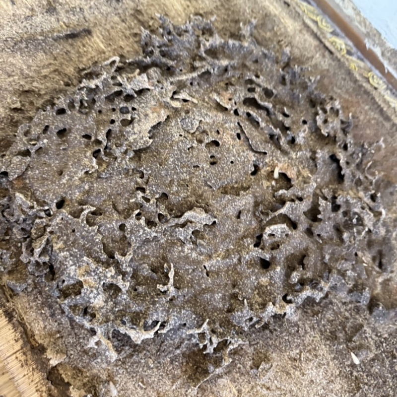 築年数50年のシロアリ駆除の施工事例（大分県佐伯市）