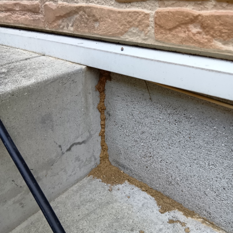 築年数23年のシロアリ駆除の施工事例（熊本県玉名市築地）