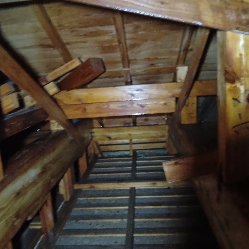 築年数40年のシロアリ駆除の施工事例（宮崎県東諸県郡国富町八代北俣）