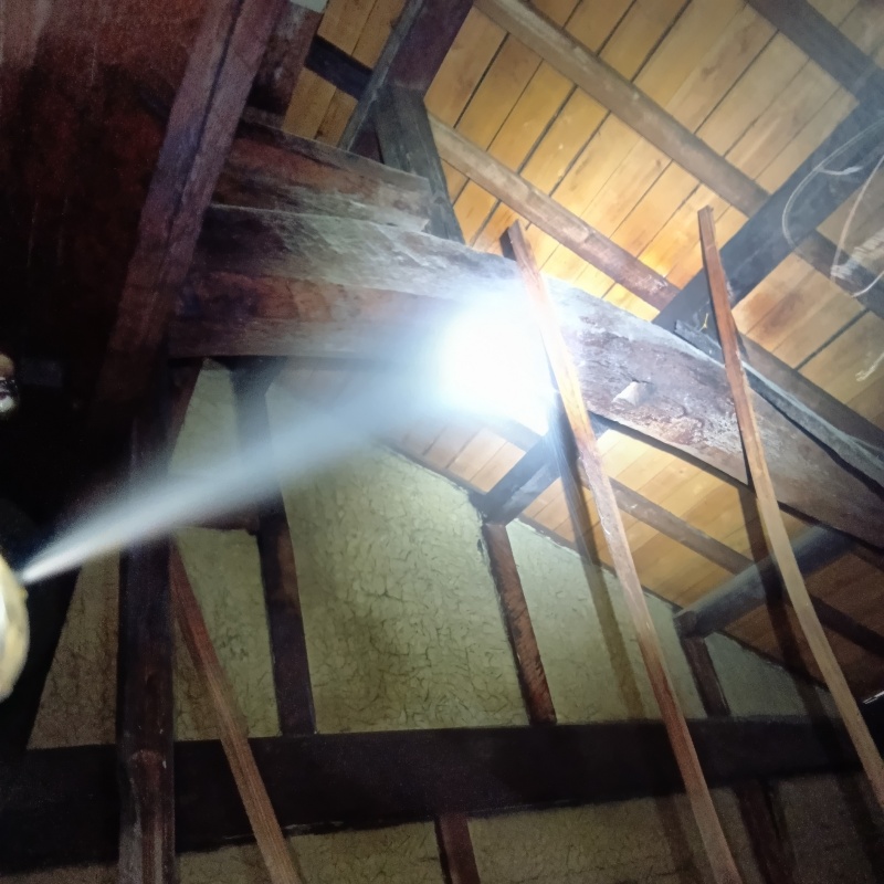 屋根裏の木部にシロアリ駆除剤を散布