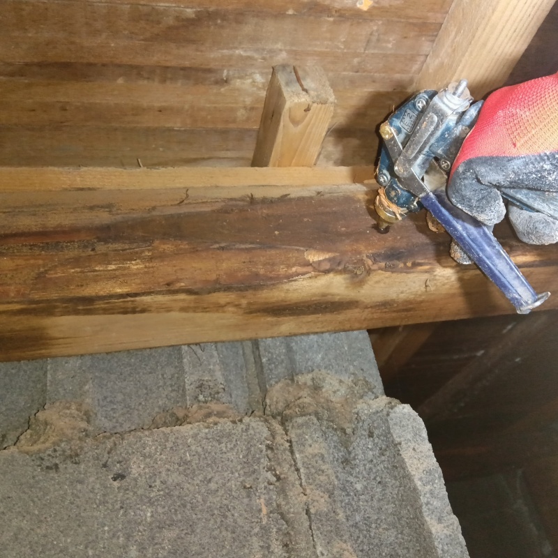 床下の木部にシロアリ駆除剤を注入