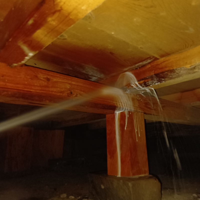 築年数60年のシロアリ駆除の施工事例（高知県土佐市宇佐町井尻）