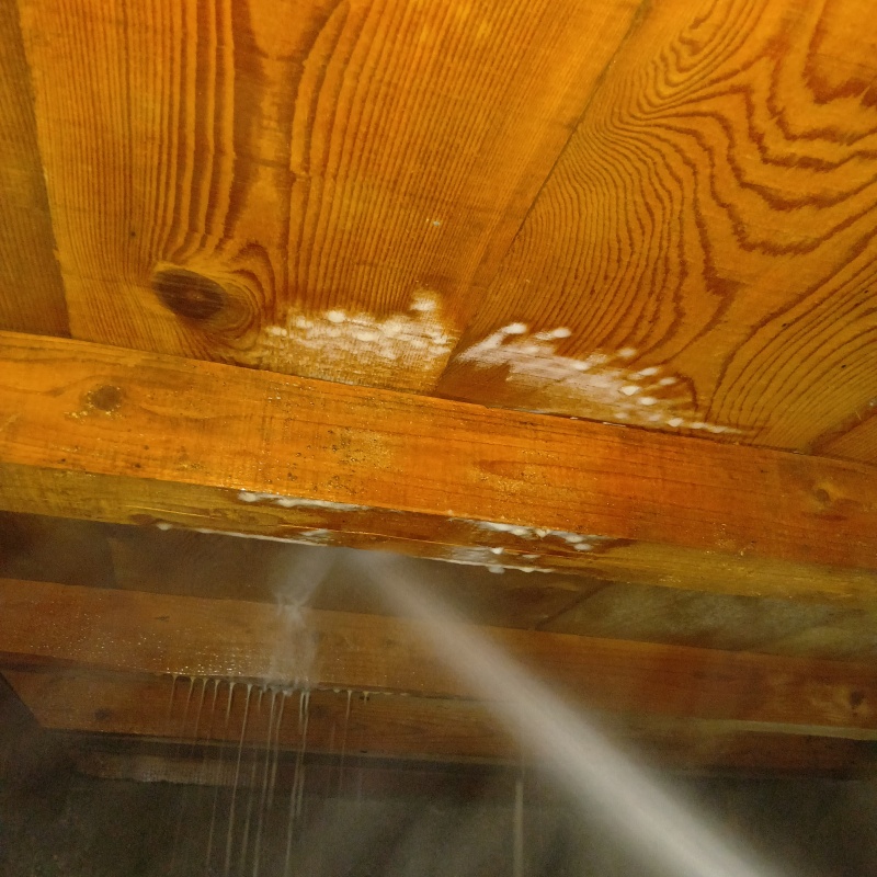 床下の木部にシロアリ駆除剤を散布