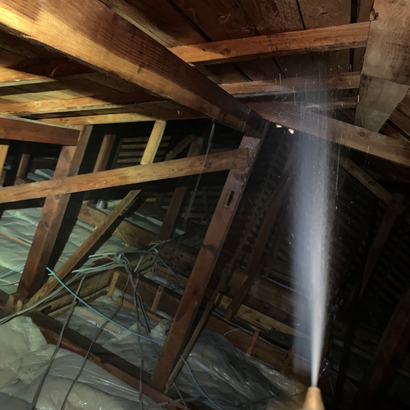 屋根裏の木材にシロアリ駆除剤を散布