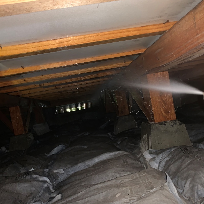 床下木材にシロアリ駆除剤を散布