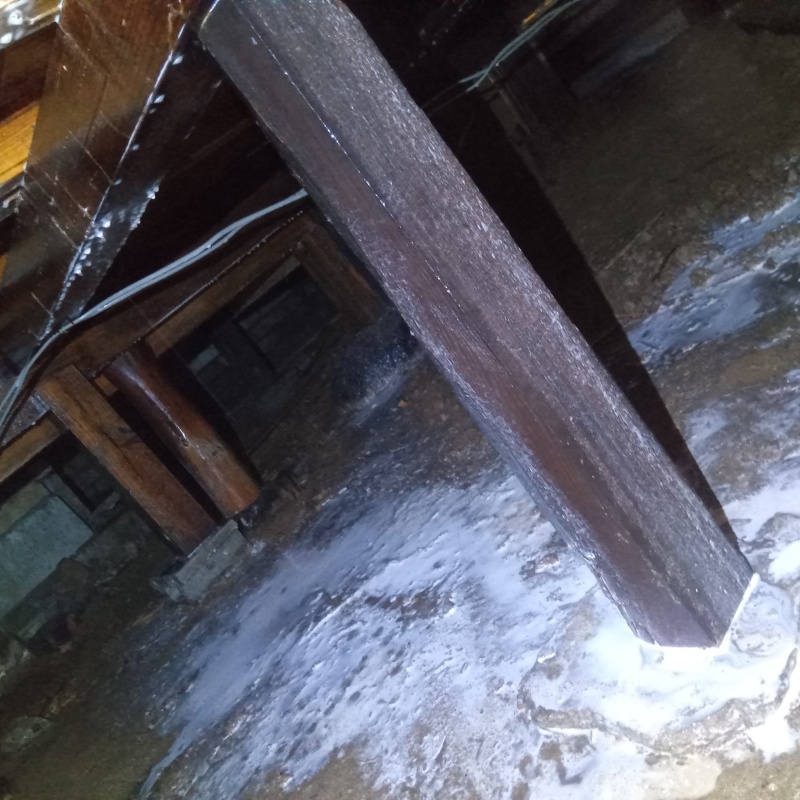 地面・基礎にシロアリ駆除剤を散布した様子