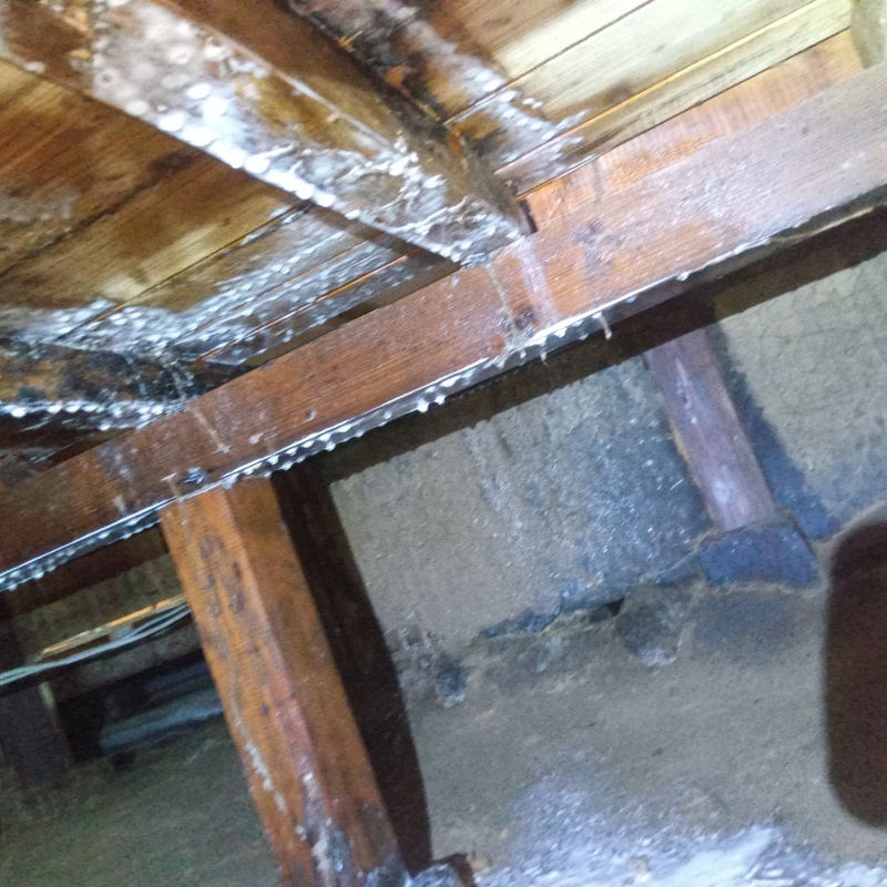 地面・基礎にシロアリ駆除剤を散布した様子