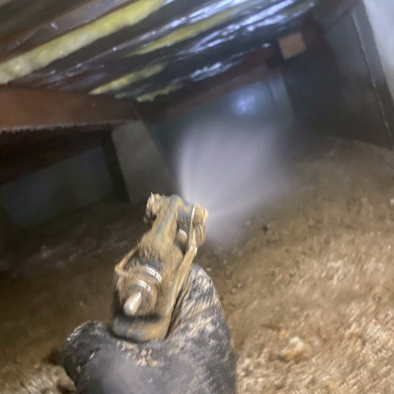 基礎にシロアリ駆除剤を散布