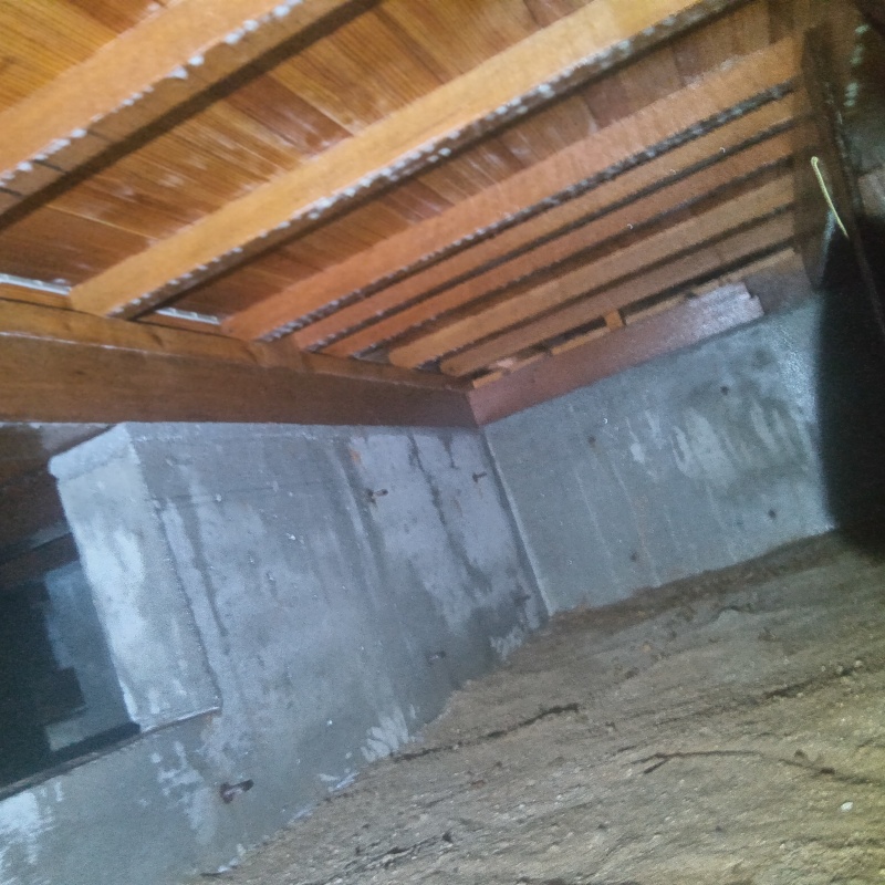 地面・基礎にシロアリ駆除剤を散布