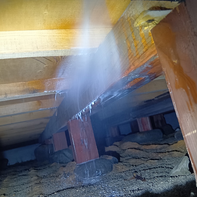 床下木材にシロアリ駆除剤を吹き付けている様子