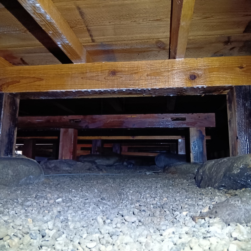 地面にシロアリ駆除剤を散布した様子