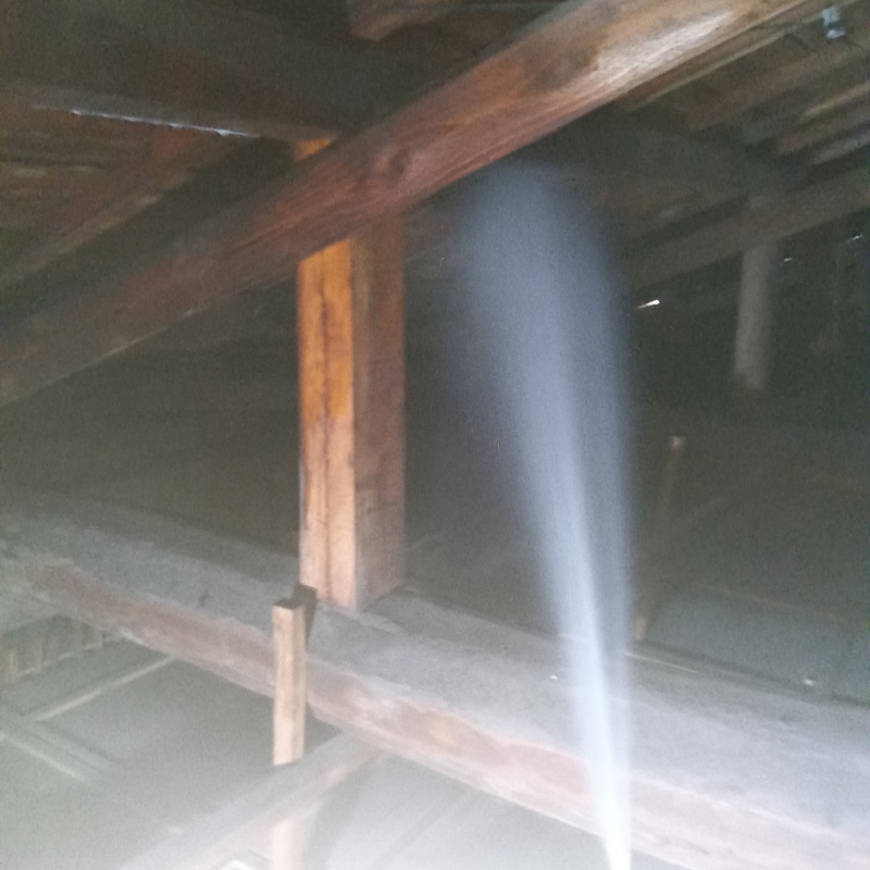 屋根裏の木材にシロアリ駆除剤を散布