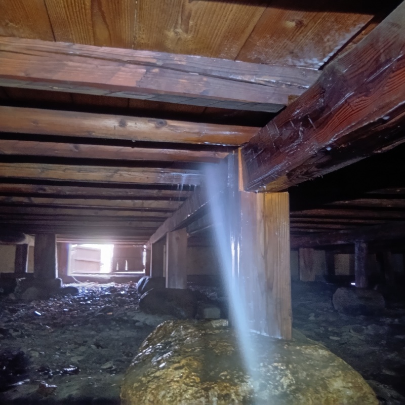 シロアリ駆除の施工事例（長野県須坂市）