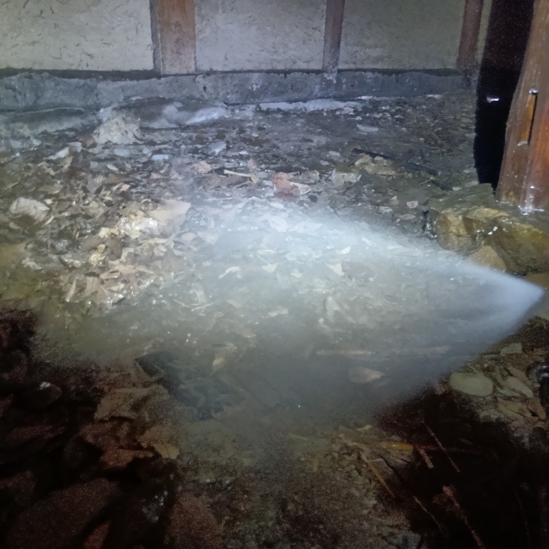 地面にシロアリ駆除剤を散布