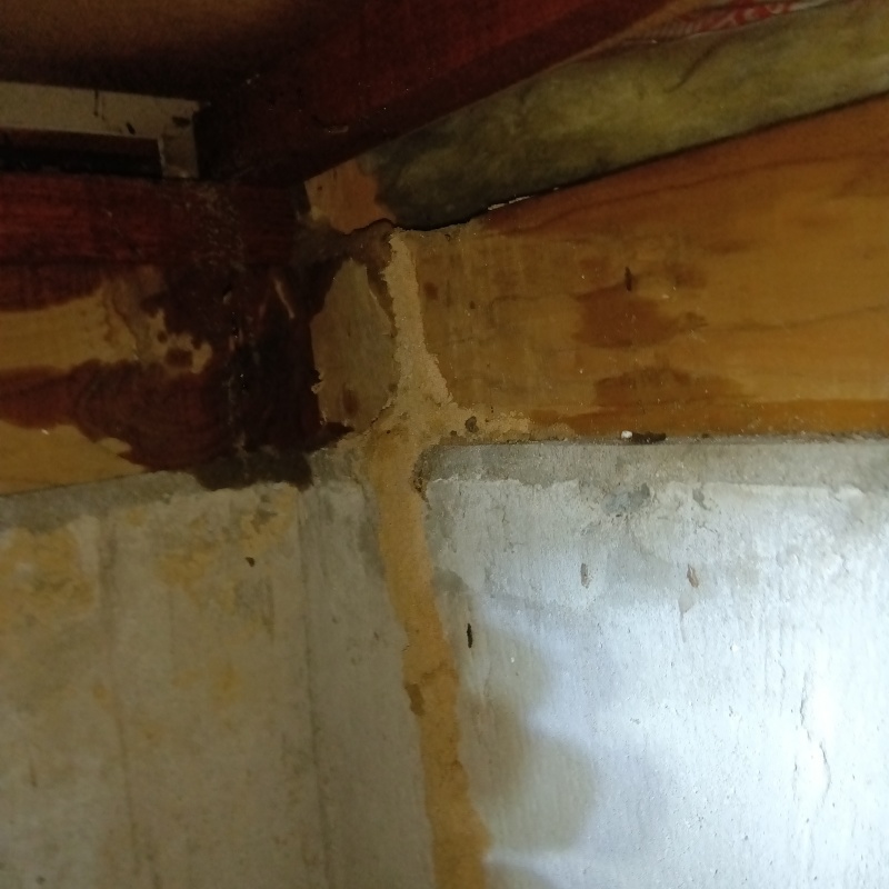 築年数40年のシロアリ駆除の施工事例（福岡県遠賀郡水巻町猪熊）