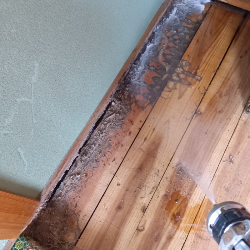 室内の木部にシロアリ駆除剤を散布