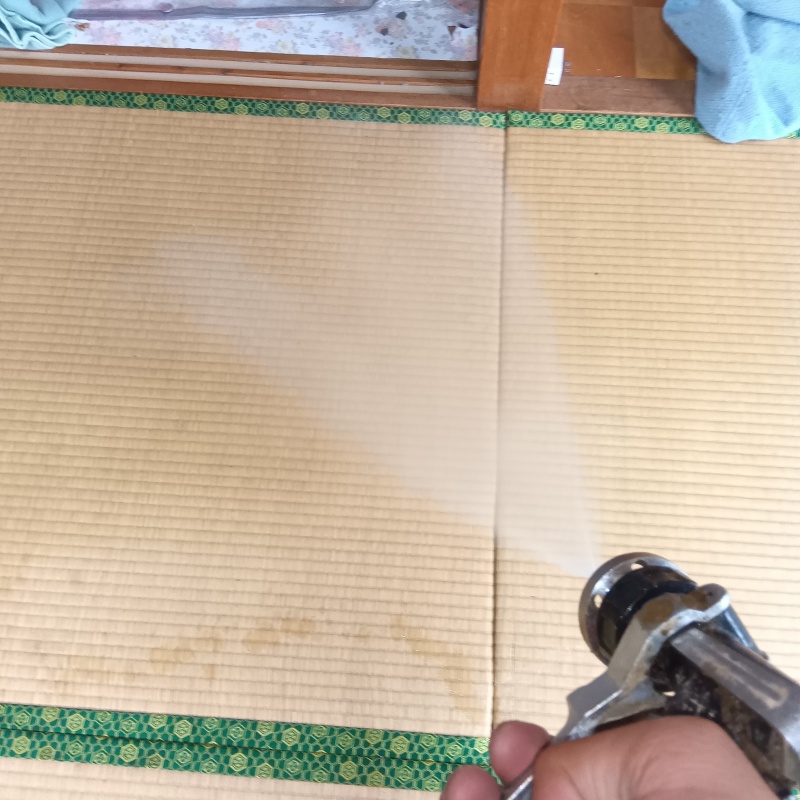 畳にシロアリ駆除剤を散布