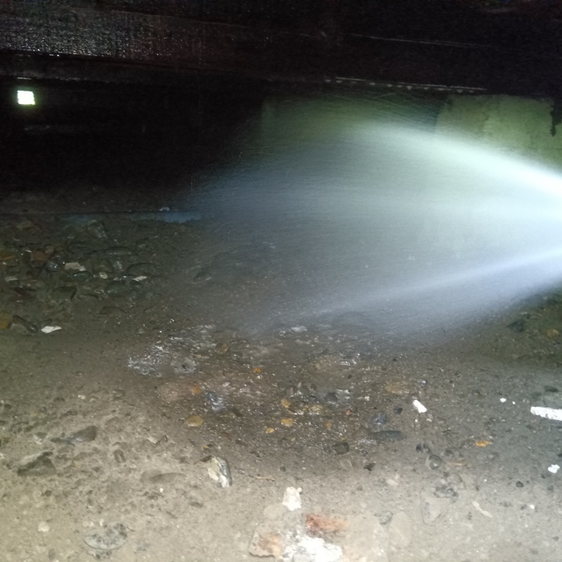 地面に防蟻剤を散布