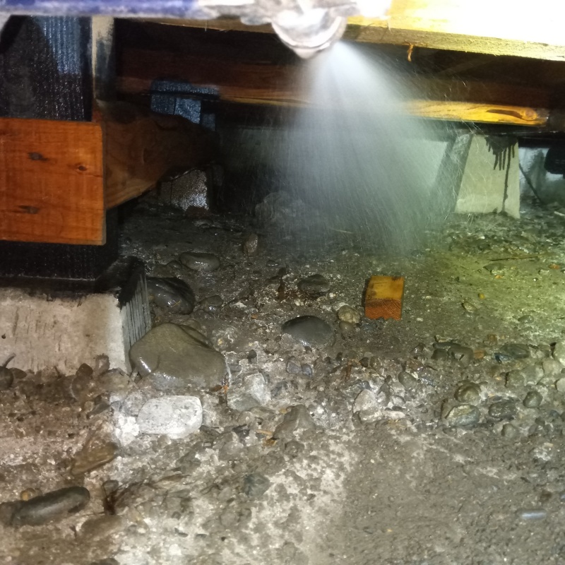 地面に防蟻剤を吹き付ける様子