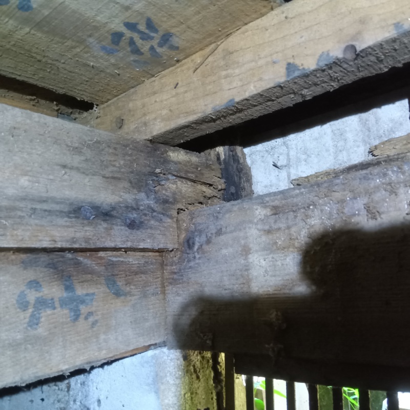 築年数40年のシロアリ駆除の施工事例（東京都東久留米市小山）