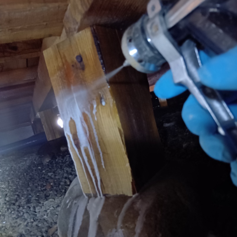 床下木材にシロアリ駆除剤を散布