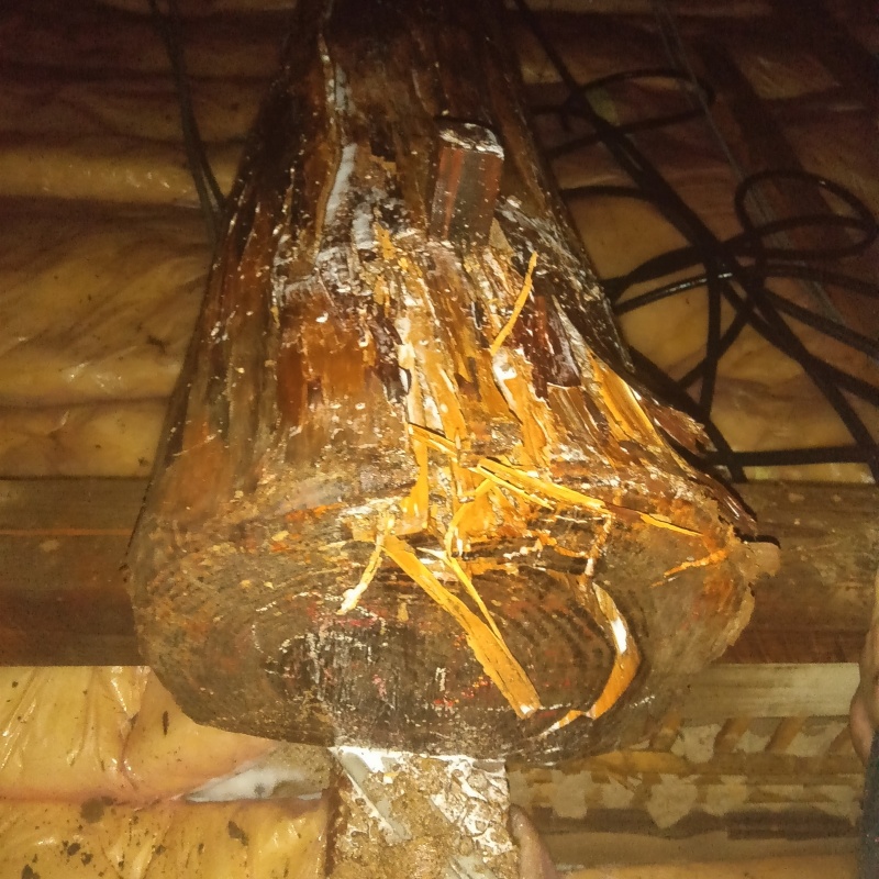 築年数55年のシロアリ駆除の施工事例（福岡県久留米市御井町）