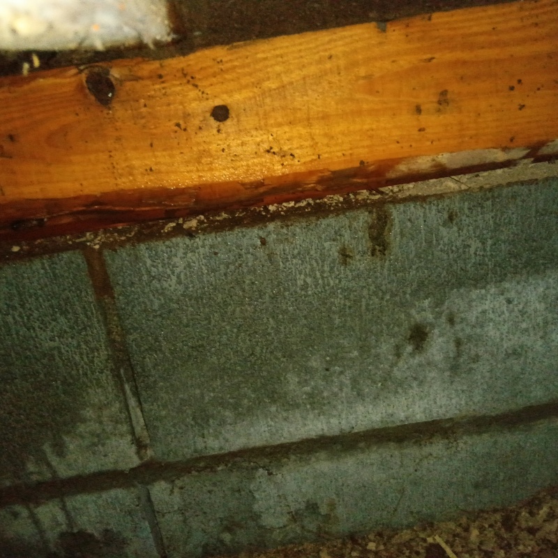 基礎にシロアリ駆除剤を散布した様子