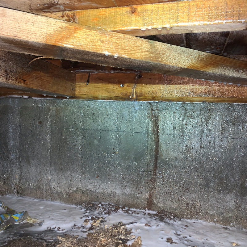 地面・基礎にシロアリ駆除剤を散布