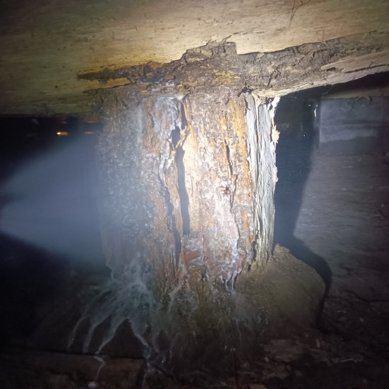 築年数100年のシロアリ駆除の施工事例（新潟県十日町市浦田）