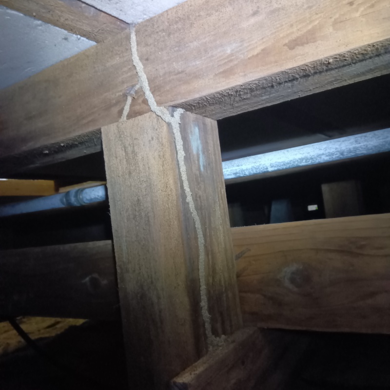 築年数30年のシロアリ駆除の施工事例（新潟県燕市）