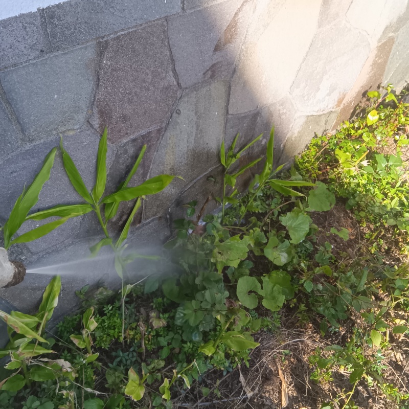 建物外周の土壌にシロアリ駆除剤を散布