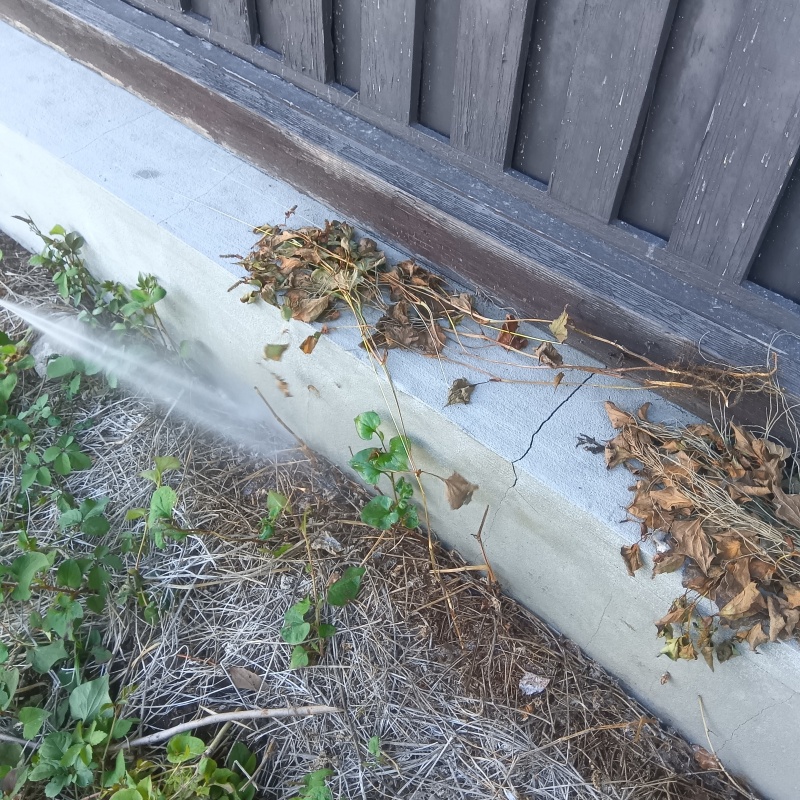 基礎まわりにシロアリ駆除剤を散布