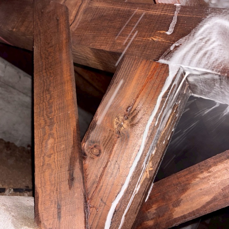 床下木材にシロアリ駆除剤を散布