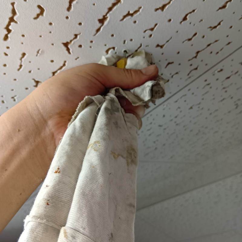 天井に穴を開けてシロアリ駆除剤を注入