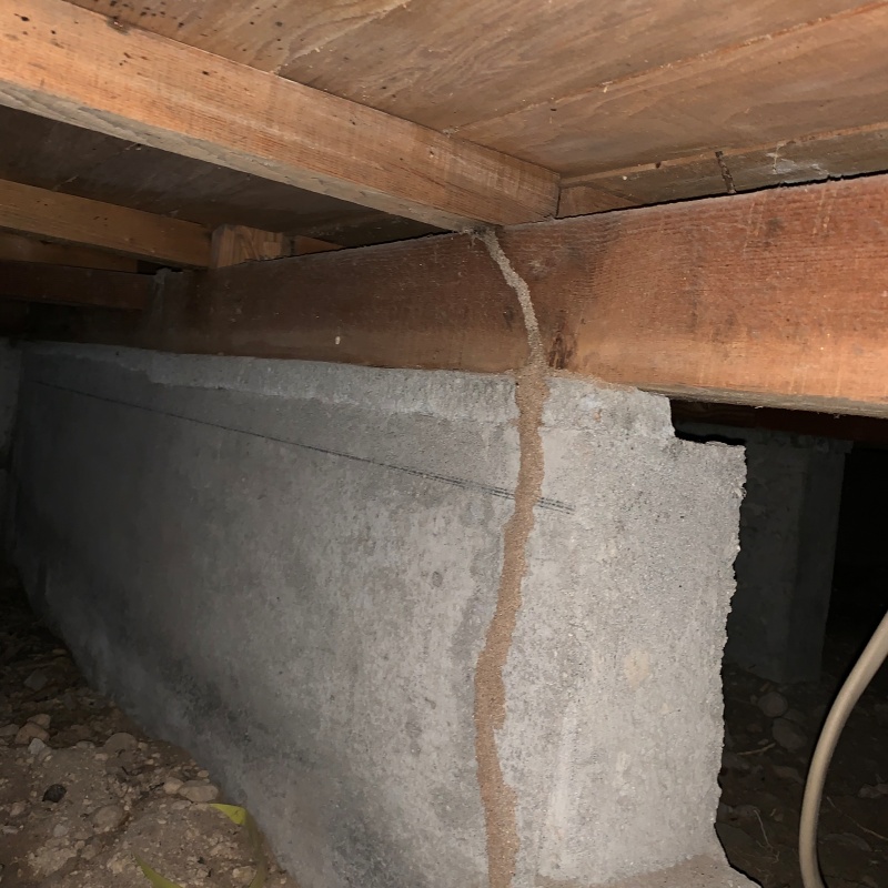 築年数50年のシロアリ駆除の施工事例（鹿児島県鹿児島市）