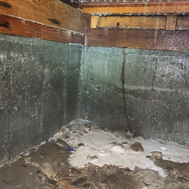 地面・基礎にシロアリ駆除剤を散布した様子