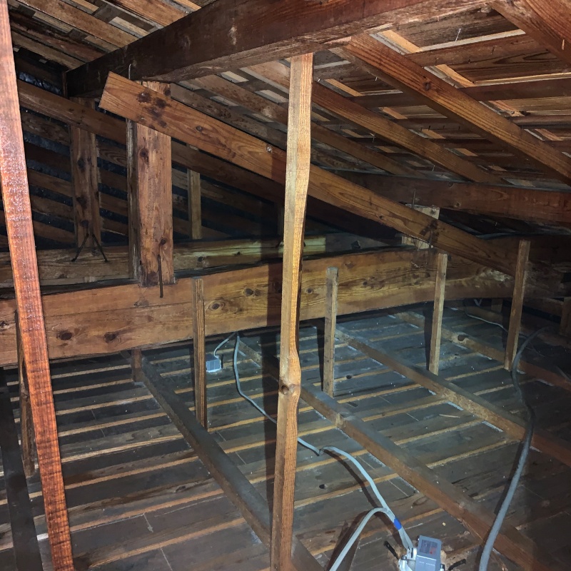 築年数46年のシロアリ駆除の施工事例（鹿児島県霧島市国分府中町）