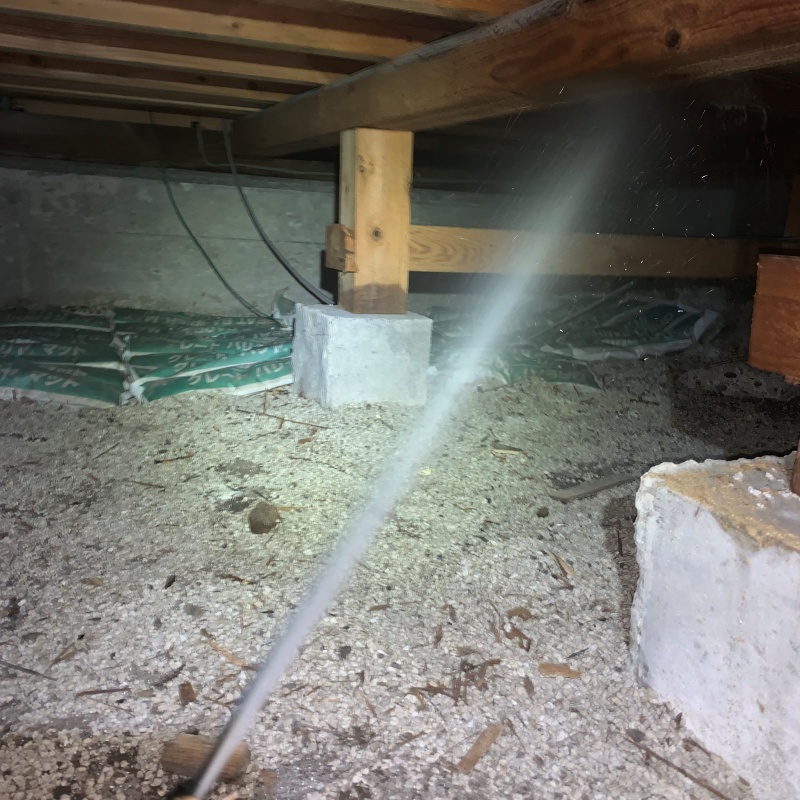 床下木材にシロアリ駆除剤を散布